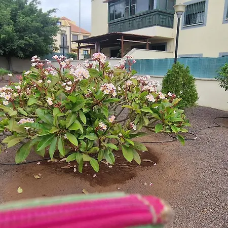 Apartament Malvasia *