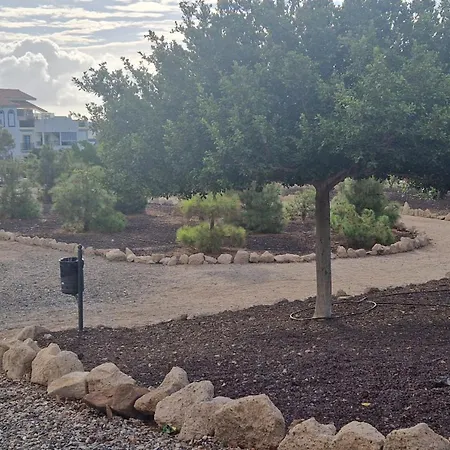 Malvasia Apartament San Miguel de Abona